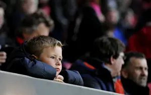 Bristol City vs Rotherham United Clash at Ashton Gate Stadium, Sky Bet Championship (April 2016)