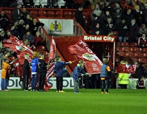Images Dated 25th March 2014: Bristol City vs Swindon Town: The Passionate Flag Bearers at Ashton Gate