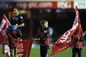 Bristol City V Walsall Prints: Bristol City vs Walsall: Flag-Bearing Fans at Ashton Gate, 2013
