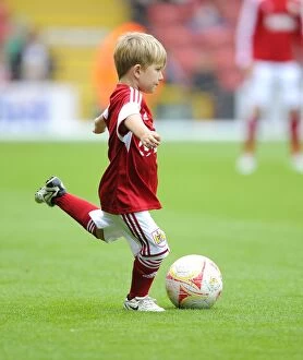 Images Dated 17th August 2013: Bristol City vs Wolves: A Football Showdown at Ashton Gate