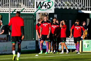 Yeovil Town V Bristol City Prints: Bristol City's Aden Flint and Marlon Pack at Huish Park Stadium during Yeovil Town vs