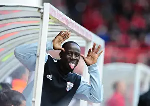 Bristol City V Barnsley Prints: Bristol City's Albert Adomah in Action at Ashton Gate Stadium (2012)