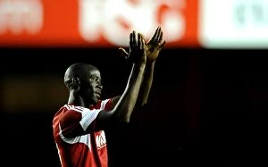 Images Dated 24th July 2013: Bristol City's Albert Adomah Thrills Fans with First Goal Against Reading