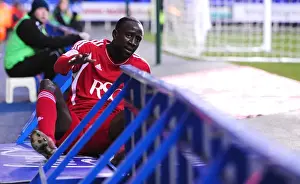 Reading V Bristol City Prints: Bristol City's Albert Adomah Tumbles at Madejski Stadium