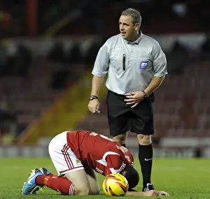 Bristol City V Crawley Town Prints: Bristol City's Brendan Moloney Suffers Injury During Sky Bet League One Match Against Crawley Town