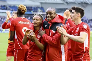 Bristol City's Historic 1-0 Victory Over Brighton & Hove Albion Secures Championship Survival