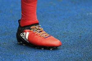 Images Dated 26th November 2016: Bristol City's Lee Tomlin Supports Stonewall UK with Rainbow Laces at Reading Match