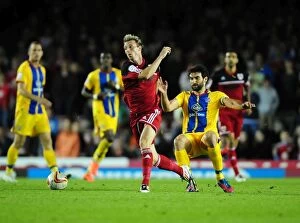 Images Dated 21st August 2012: Bristol City's Martyn Woolford Foul by Mile Jedinak during Bristol City vs Crystal Palace
