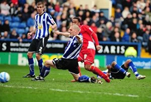 Images Dated 5th April 2010: Bristol City's Nicky Maynard Scores Championship-Winning Goal vs. Sheffield Wednesday (05/04/2010)