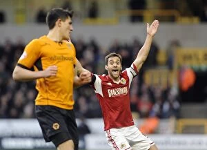 Images Dated 25th January 2014: Bristol City's Sam Baldock Protests Referee Decision During Wolves vs