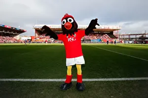 Bristol City V West Ham United - Fans Prints: Bristol City's Scrumpy the Robin Ready for FA Cup Showdown Against West Ham United