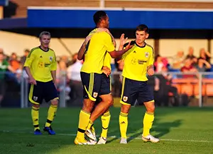 WSM V Bristol City Prints: Bristol Rivalry: A Clash of Football Fortunes - Season 11-12: WSM vs. Bristol City