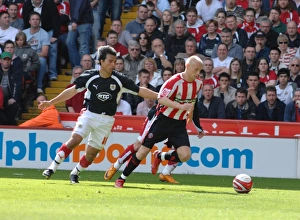 Carle Cotterill Tussle
