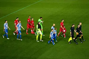 Framed Print : Championship Showdown: Bristol City vs Brighton & Hove Albion (November 2016)