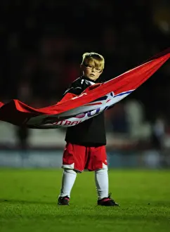 Bristol City V Crystal Palace Prints: Championship Showdown: Bristol City vs Crystal Palace, 14/02/2012 - Ashton Gate Stadium