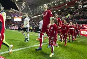 Championship Showdown: Bristol City vs Fulham at Ashton Gate (February 2017)