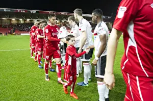Championship Showdown: Bristol City vs Fulham at Ashton Gate (February 2017)