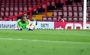 Season 11-12 Prints: Championship Showdown: David James in Action - Bristol City vs