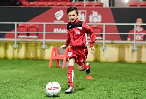 Clash in the Championship: Bristol City vs Fulham at Ashton Gate (February 2017)