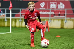 Clash in Sky Bet Championship: Bristol City vs Fulham at Ashton Gate (Februder 2017)
