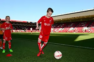Clash of Titans: Sky Bet Championship Showdown - Bristol City vs. Wolverhampton Wanderers at Ashton Gate (08/04/2017)