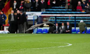 Crystal Palace vs. Bristol City: A Football Rivalry - Season 10-11