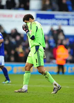 Ipswich Town V Bristol City Prints: David James: Disappointed Bristol City Goalkeeper After Ipswich Town Defeat