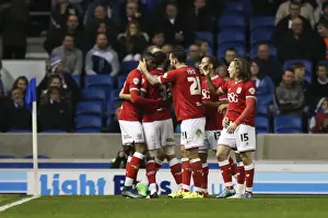Brighton Prints: Derrick Williams Scores the Winner: Brighton & Hove Albion 0-1 Bristol City (2015)