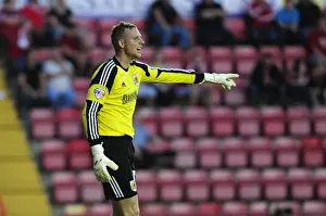 Elliott Parish in Action: Bristol City vs Crystal Palace, 2013