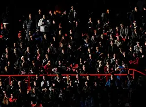 Bristol City V AFC Telford Prints: FA Cup Clash: Bristol City vs AFC Telford United at Ashton Gate