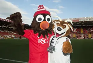 Bristol City V AFC Telford Prints: FA Cup Mascot Clash: Bristol City vs AFC Telford United at Ashton Gate