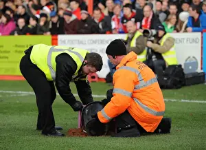 Tamworth V Bristol City Prints: FA Cup: Tamworth v Bristol City - Steward Deals with Flare on Pitch