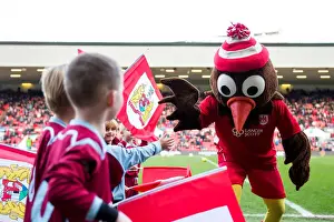 Flag-Bearing Fans at Ashton Gate Stadium: Bristol City vs Rotherham United, Sky Bet Championship