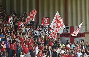 Images Dated 6th August 2016: Flags in the Atyeo Stand: Bristol City vs Wigan Athletic, Ashton Gate, 2016