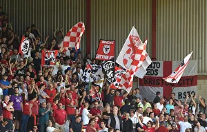 Framed Print : Flags in the Atyeo Stand: Bristol City vs Wigan Athletic, Ashton Gate, 2016