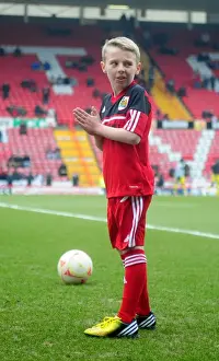 Football Rivalry: Bristol City vs Sheffield Wednesday, Npower Championship (April 2013) - Ashton Gate