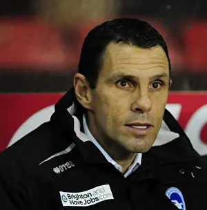 Gustavo Poyet Leads Brighton & Hove Albion at Ashton Gate, Bristol City vs Brighton and Hove Albion, Npower Championship, March 2013