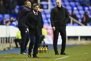 Reading V Bristol City Prints: Johnson and Bristol City Face Off at Reading: Sky Bet Championship Showdown, November 2016