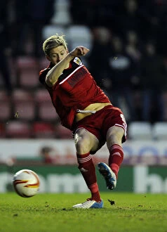 Images Dated 26th January 2013: Jon Stead Scores the Winning Goal: Bristol City vs. Ipswich Town, Championship 2013