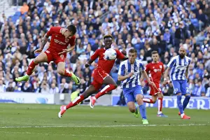 Josh Brownhill Scores the Championship Stunner: Bristol City Shocks Brighton 0-1 (2017)