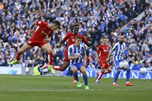 Josh Brownhill Scores the Championship-Winning Goal: Brighton & Hove Albion 0-1 Bristol City (April 29, 2017)