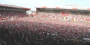 jubilant bristol city fans celebrate promotion pitch Trending Item 6