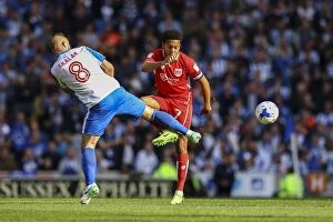 Images Dated 29th April 2017: Korey Smith Faces Pressure from Jiri Skalak in Brighton and Hove Albion vs