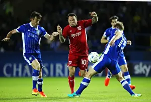 Hillsborough Prints: Lee Tomlin vs Tom Lees Clash: Sheffield Wednesday vs Bristol City Championship Showdown