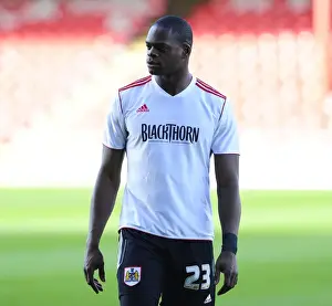 Barclays Prints: Marlon Harewood of Bristol City in Action against Fulham at Crystal Palace, 2013