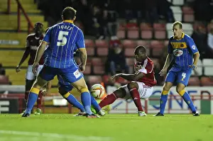 Bristol City V Shrewsbury Town Prints: Marlon Harewood Goes for Glory: Bristol City vs Shrewsbury Town, 2013