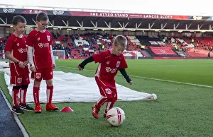 Mascot's Thrill at Ashton Gate: Bristol City vs Reading, January 2017