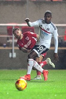 Images Dated 22nd February 2017: Matty Taylor's Thrilling Goal Attempt: A Moment of Glory from the Bristol City vs Fulham