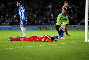 Brighton V Bristol City Prints: Nicky Maynard's Frustrating Miss: Brighton v Bristol City Championship Clash (14/01/2012)