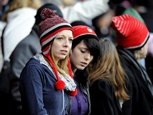 Npower Championship Showdown: A Football Rivalry Unfolds - Bristol City vs Sheffield Wednesday at Ashton Gate